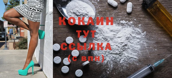 мет Новозыбков