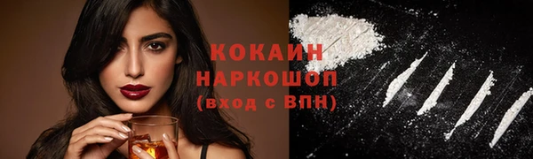соль ск Новокубанск
