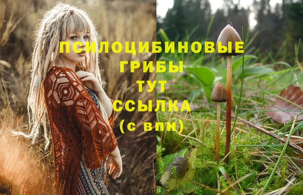 мет Новозыбков