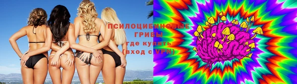 мет Новозыбков