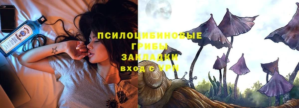 стаф Нязепетровск