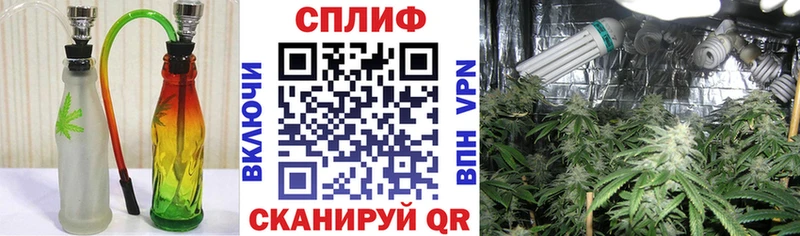Купить где  Мамадыш  Конопля ГИДРОПОН 